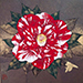 Takehiro Kato Gallery
